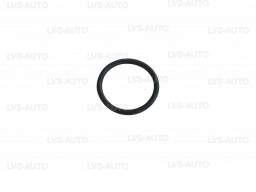Уплотнительное кольцо к фильтру редуктора Tomasetto, малое